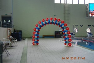 36087847_1276383759161078_8530045280261767168_n